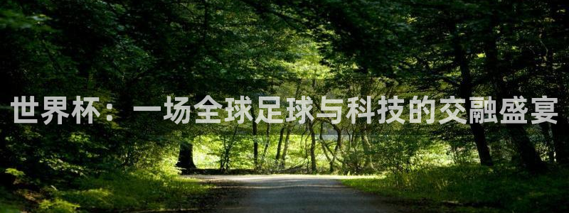 世界杯葡萄牙赛程:世界杯:一场全球足球与科技的交融盛宴
