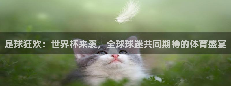世界杯2026赛制:足球狂欢:世界杯来袭,全球球迷共同期待的体育盛宴