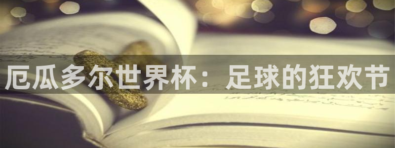世界杯2026赛程:厄瓜多尔世界杯:足球的狂欢节