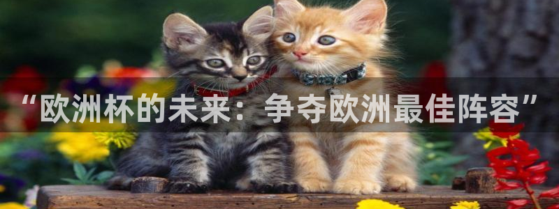 2026年世界杯:“欧洲杯的未来:争夺欧洲最佳阵容”